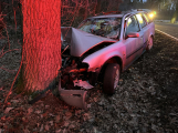 U Horčápska narazilo auto do stromu, řidič skončil v nemocnici