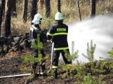Lesy ČR kvůli riziku požárů zakázaly ve svých lesích pálit klestí