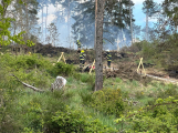 Sedm jednotek hasičů likviduje na Příbramsku požár lesa