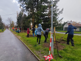 Dobříš má nové stromy díky společné výsadbě dobrovolníků