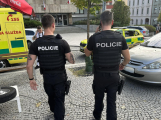 Středočeské policii chybí 444 lidí. Pomáhají i Pol Pointy
