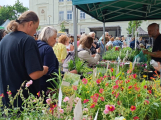 Oblíbené regionální trhy v Dobříši: přijďte ochutnat, nakoupit a pobavit se
