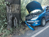 U Hluboše narazil řidič do stromu, dítě jelo na preventivní vyšetření do nemocnice