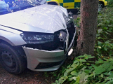 Zfetovaný a opilý řidič napálil fabii do stromu: Auto samo zavolalo pomoc přes E-call