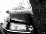 Dva mladíci zemřeli po nárazu auta do stromu