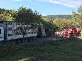 Za obcí Hluboš se převrátil návěs s prasaty, silnice je uzavřena