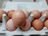 Polská vejce v obchodních řetězcích ohrožují salmonelou i Příbram