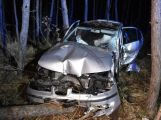 Řidička vylétla na D4 u Jíloviště z dálnice do lesa, kde porazila několik stromů