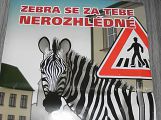 Zebra se za Tebe nerozhlédne!