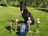 Policejní mistrovství psovodů v Solenicích