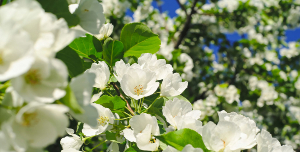 Na Velikonoce bude až 23 stupňů Celsia