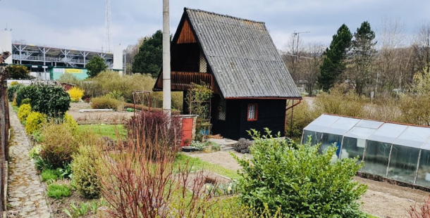 Meteorologové varují: Mráz může poškodit vegetaci, zejména zeleninu a kvetoucí ovocné stromy