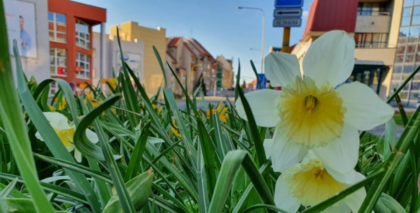 Od pondělí by se mělo ochladit. Následující čtyři týdny pak budou teplotně průměrné