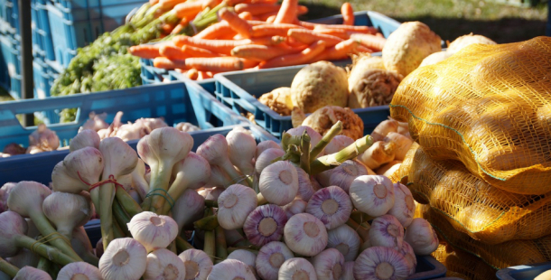 Ode dneška mohou otevřít řemeslníci, farmářské trhy nebo autobazary