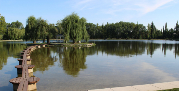 Novák by se mohl otevřít na konci května