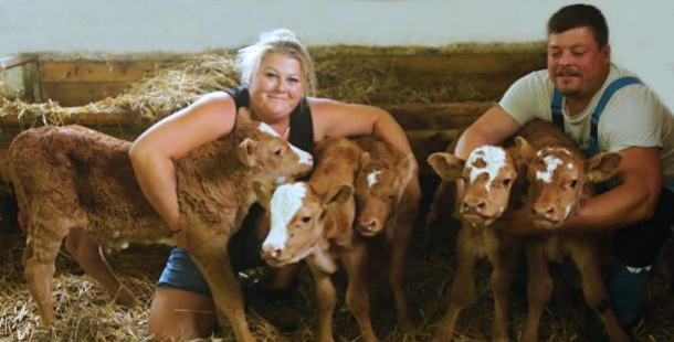 Pyšní majitelé: Kráva Matylda a býk Bohouš se svými paterčaty dorovnali rekord v Guinessově knize