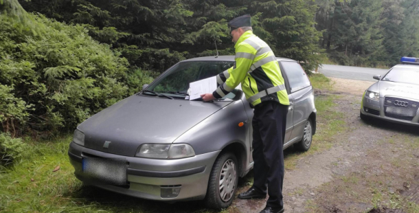 Dávejte pozor, aby se vám pár hříbků neprodražilo