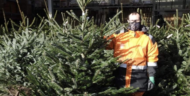 Vánoční stromek pořídíte za tři stovky, ale také za osm set. Jak o něj pečovat, aby vydržel co nejdéle?