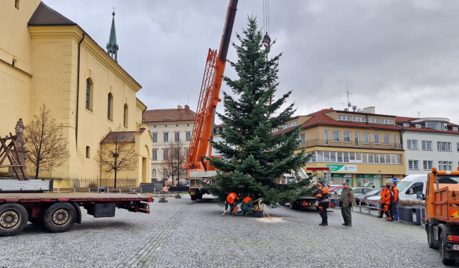 Příbramské náměstí už zdobí vánoční strom, vyrostl v Pičíně