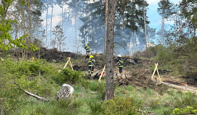 Sedm jednotek hasičů likviduje na Příbramsku požár lesa