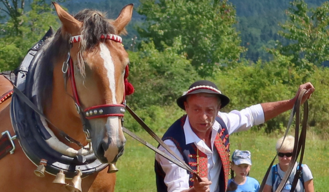 Brdská lesní bitva opět přiláká milovníky koní i lesnického řemesla