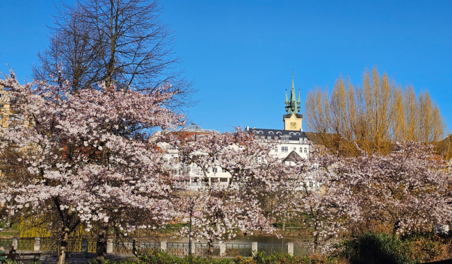 Šok v žebříčku kvality života: Příbram dopadla hůř než Ústí