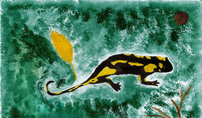 Brdy očima dětí: CHKO vyhlásila velkou výtvarnou soutěž k desátému výročí