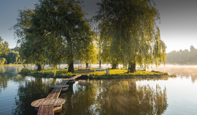 Čtyři klíšťata po jedné procházce. U Nového rybníku v Příbrami jich podle lidí výrazně přibylo