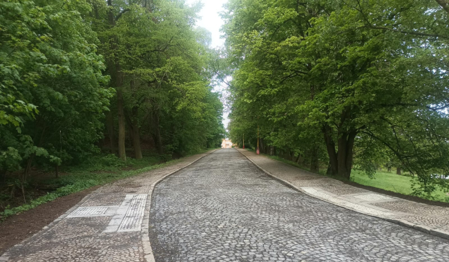 Svatohorská alej je zpět! Nový povrch hotový o týdny dřív, MHD znovu jezdí až nahoru