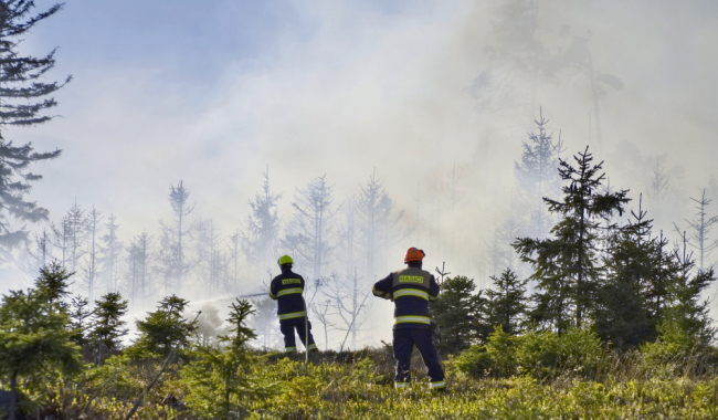 Evropa se rozpaluje: Vlna veder láme rekordy. Riziko požárů v Česku roste i s větrem