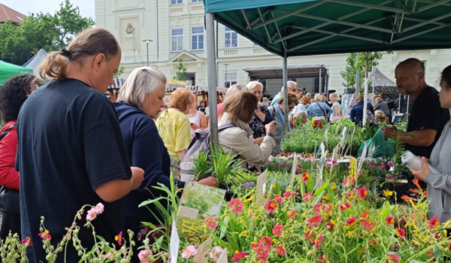 Dobříšské náměstí ožije hudbou i zábavou pro celou rodinu zdarma