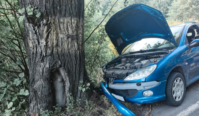 U Hluboše narazil řidič do stromu, dítě jelo na preventivní vyšetření do nemocnice