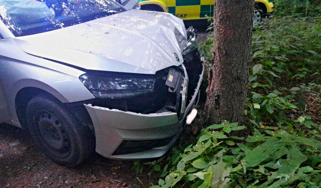 Zfetovaný a opilý řidič napálil fabii do stromu: Auto samo zavolalo pomoc přes E-call