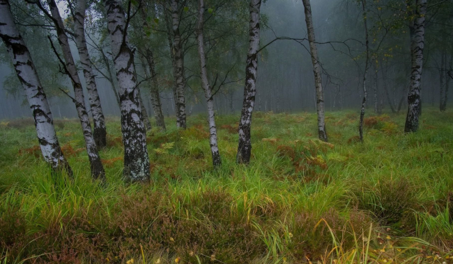 Meteorologický podzim začal. V krajině přibývá barev, dny se krátí a noci studí