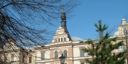 Integrovka v Poděbradech aneb Variace na řízek