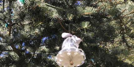 Foto dne: Vánoce, Vánoce přicházejí….