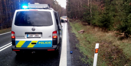 Škoda Octavia se střetla s lesní zvěří, o kterou se následně musel postarat myslivec