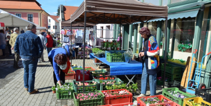 Kopáčkův dvůr dnes překypoval květy
