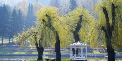Family fest, Den bezpečné Příbrami a Vítání Slunovratu na Nováku