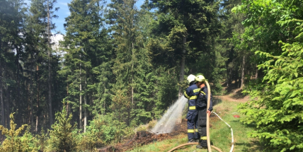 Aktuálně: Čtyři jednotky hasičů likvidují požár v lese