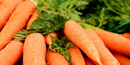 Farmářské trhy už tuto sobotu