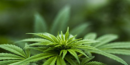 „Zhulený“ na motorce