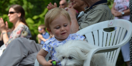 Pohoda pro rodiny, jejichž právoplatným členem je i pes