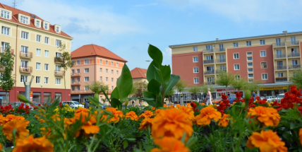 Náměstí 17. listopadu získává letní vizáž