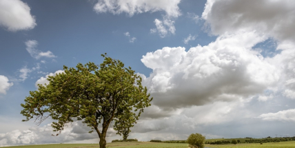 Na víkend se nám podle meteorologů vyčasí