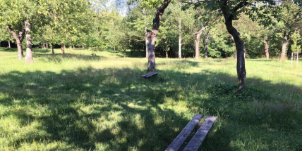 První participativní rozpočet byl rozdělen. Pro projekty za milion korun hlasovalo 2 498 lidí