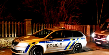 Mladík byl v minulosti již několikrát obviněn z násilí. Tentokrát skončil ve vazbě