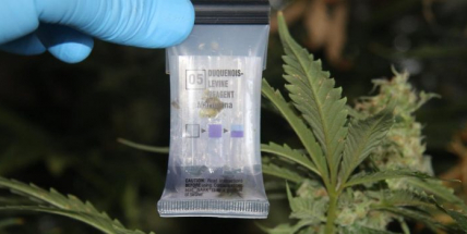 Otevřel si obchod s drogami a nyní mu hrozí až 5 let za mřížemi