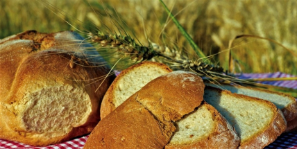 Zůstáváte tento víkend v Příbrami? Než vyrazíte k vodě, zastavte se na Hořejší Oboře na Farmářském trhu.