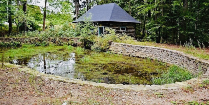 Chcete navštívit CHKO Brdy? Poradíme vám, kde zaparkovat